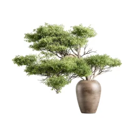 Green Branch